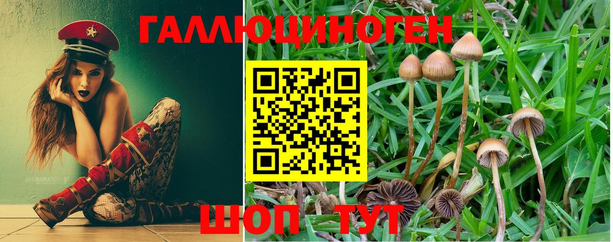 Красный Сулин  Вход с VPN  Экстази  Меф МЯУ МЯУ   ГАШ 
