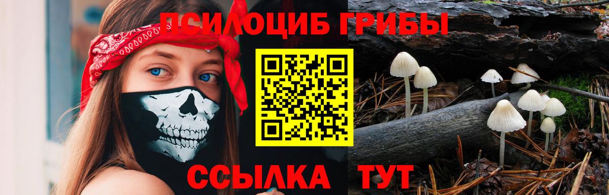 Галлюциногенные грибы Psilocybe  Вход с VPN  Псилоцибиновые грибы Psilocybine cubensis  Красный Сулин 